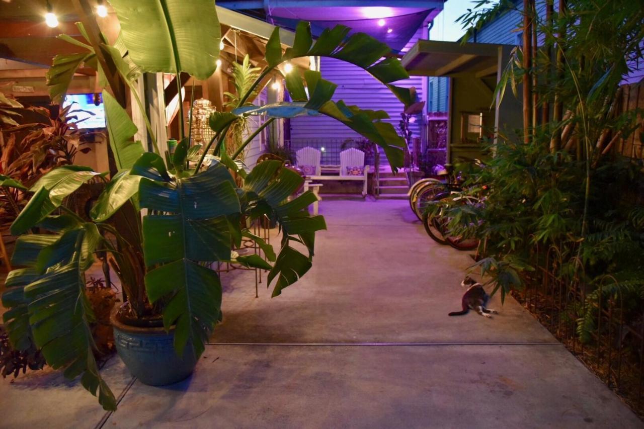 The Dragonfly Treme Guest House New Orleans Eksteriør billede