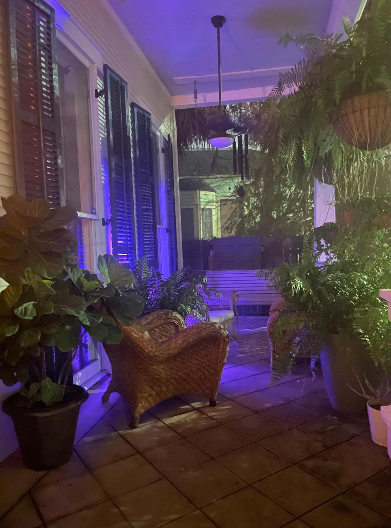 The Dragonfly Treme Guest House New Orleans Eksteriør billede