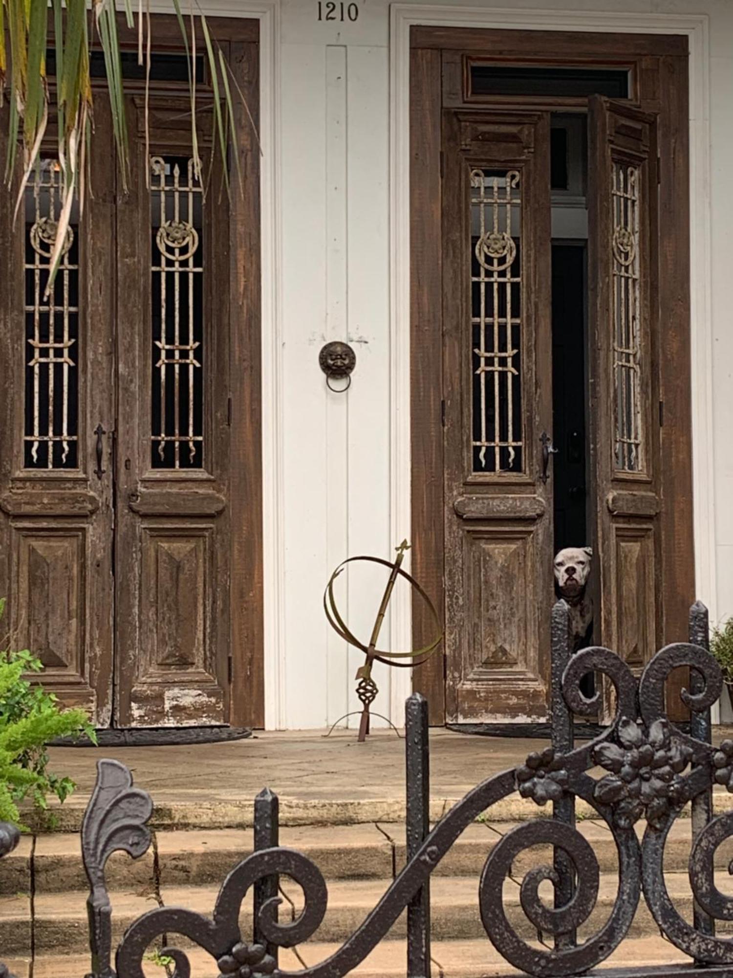 The Dragonfly Treme Guest House New Orleans Eksteriør billede