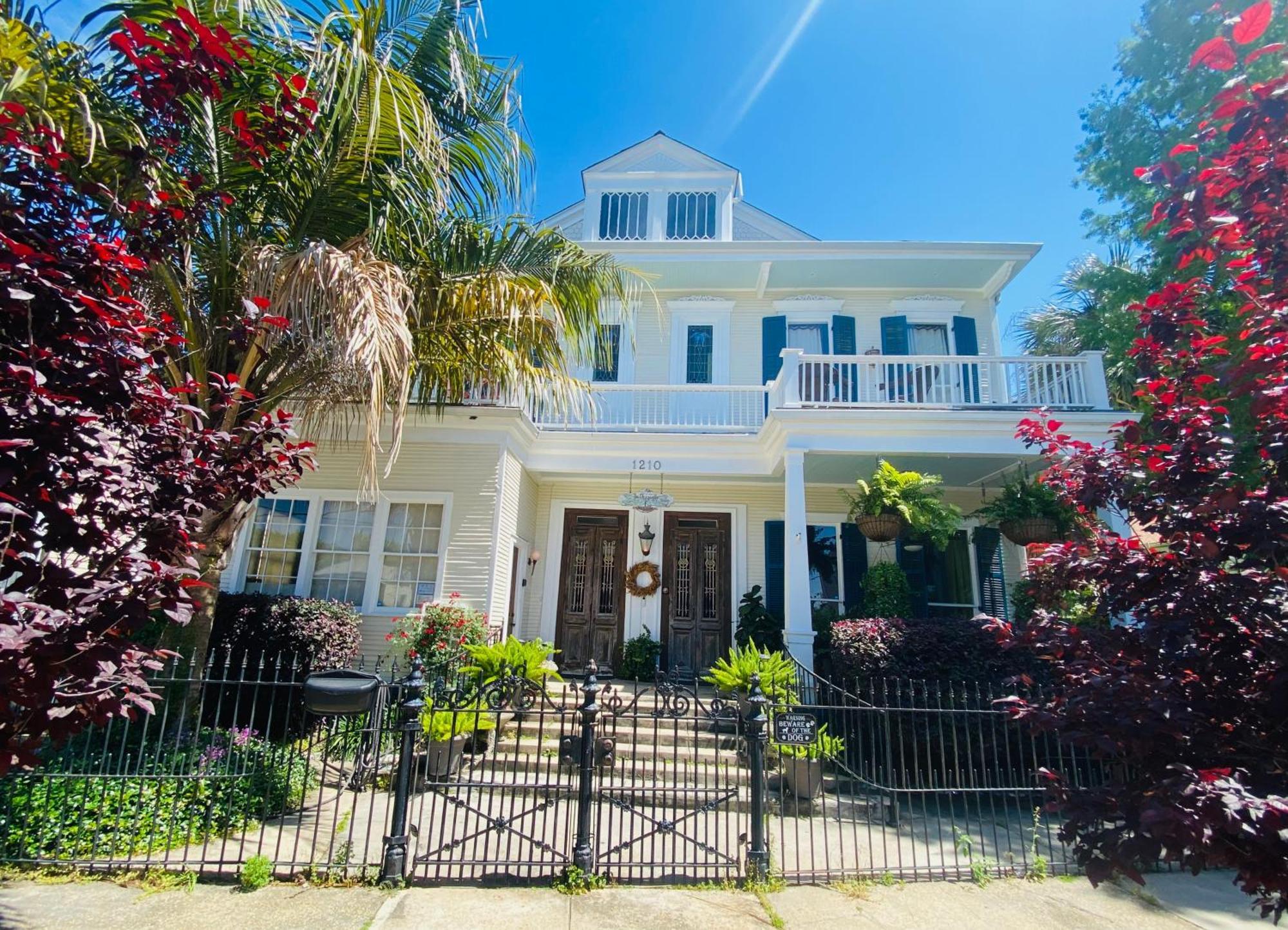The Dragonfly Treme Guest House New Orleans Eksteriør billede