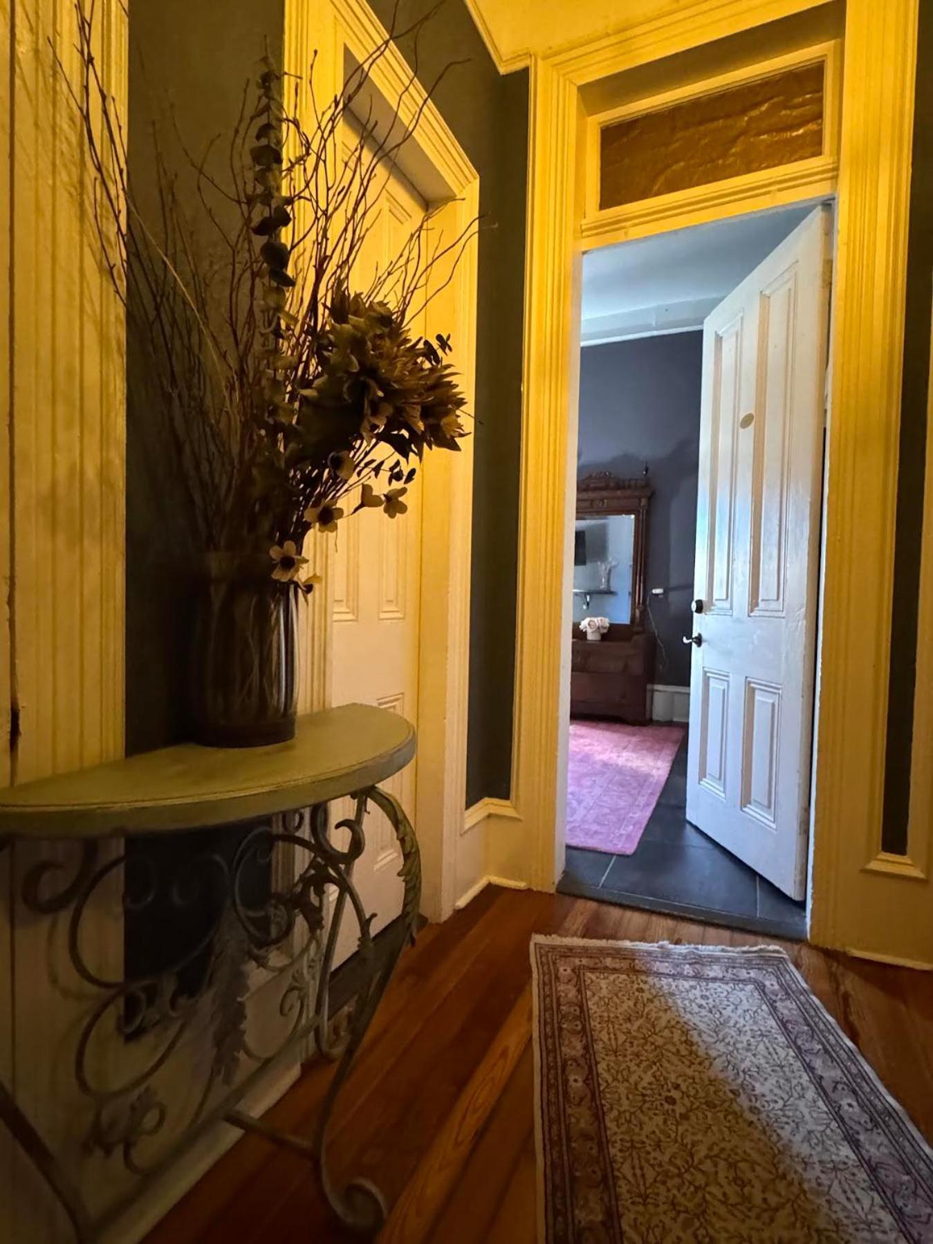 The Dragonfly Treme Guest House New Orleans Eksteriør billede