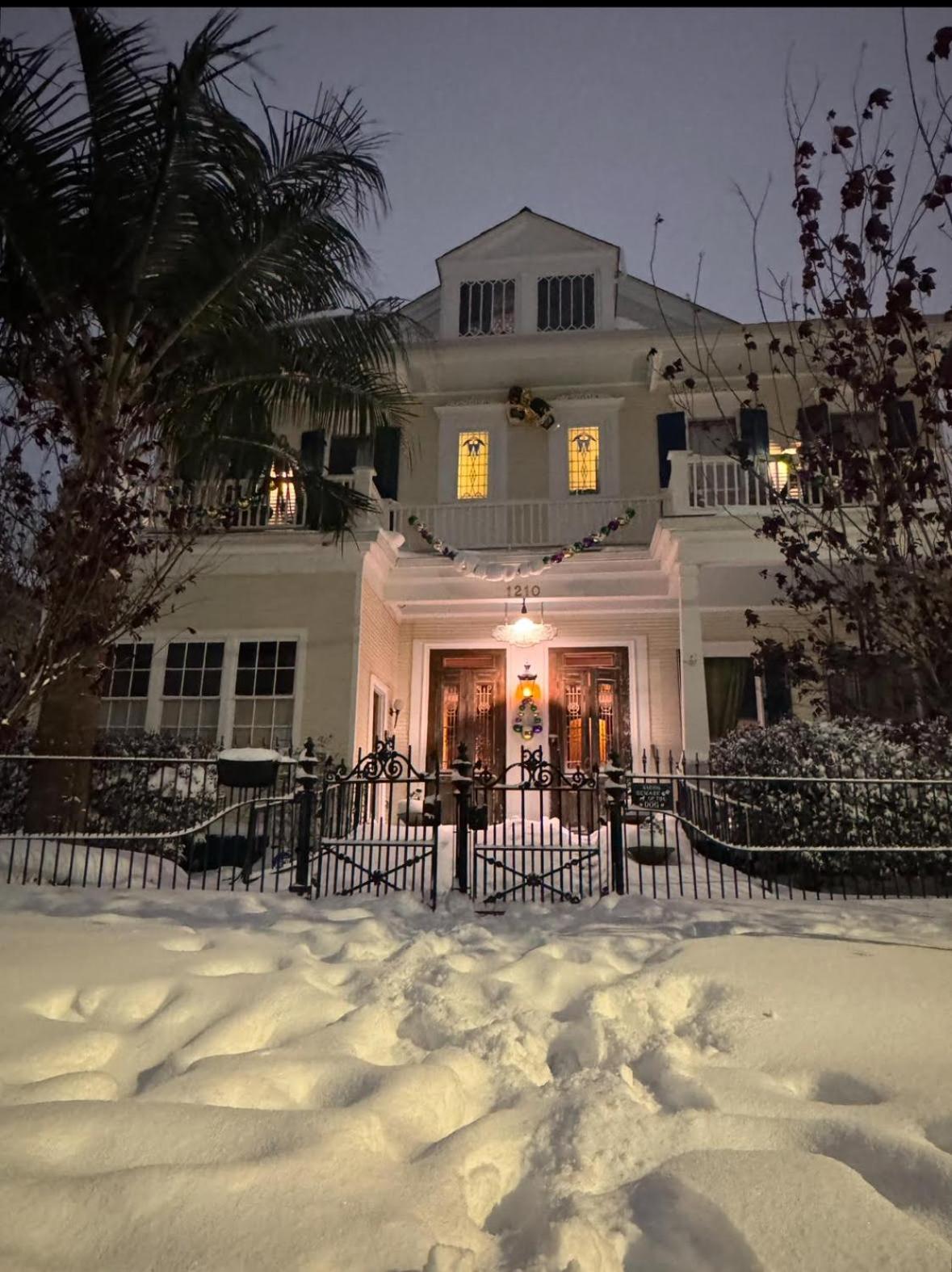 The Dragonfly Treme Guest House New Orleans Eksteriør billede